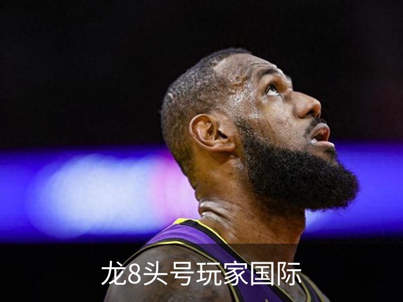 龙8头号玩家国际概况